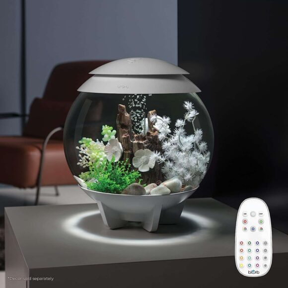 Best gifts ideas: Halo 15 Aquarium with MCR Light - 4 Gallon, White